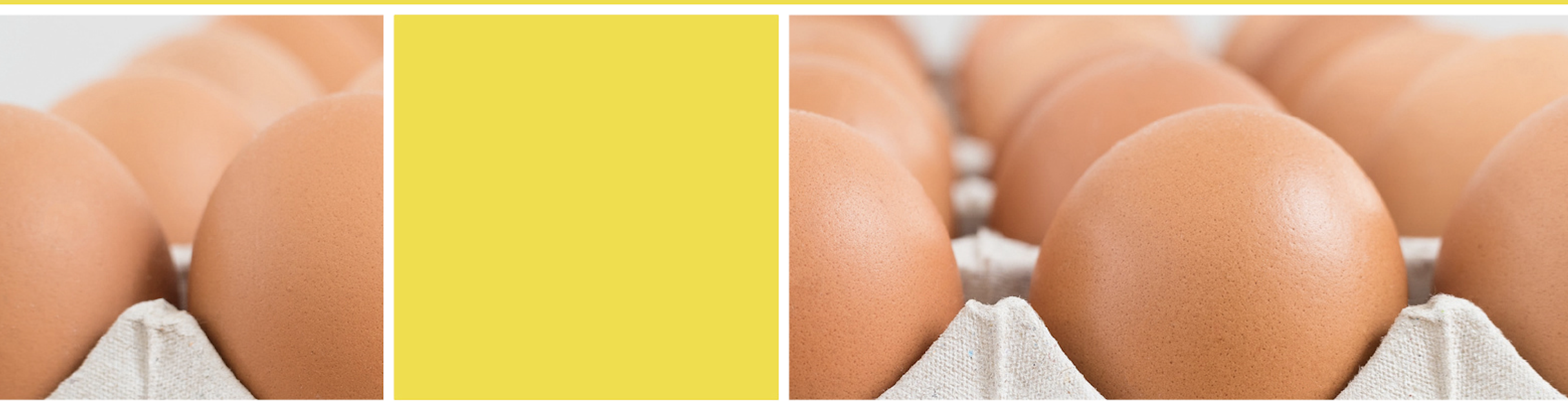 galline frais accueil