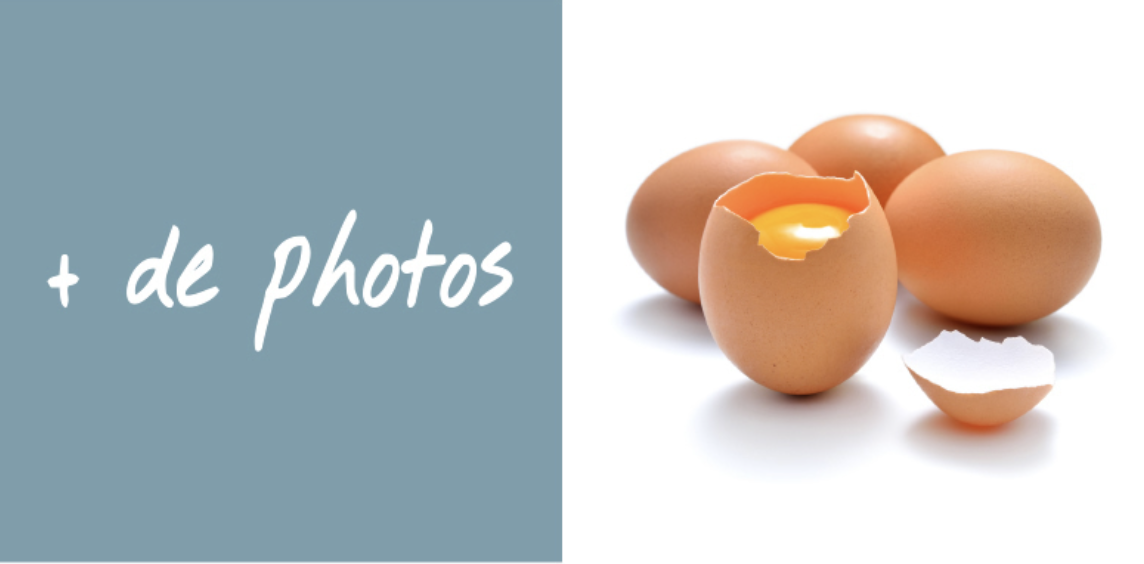 galline frais plus de photos